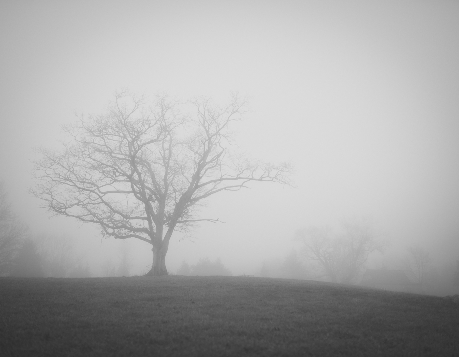 _RSP1263-Edit.jpg