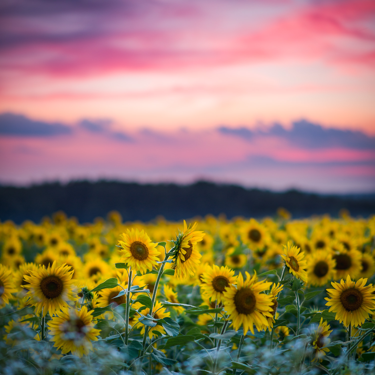 _RSP5948-Edit-Edit.jpg