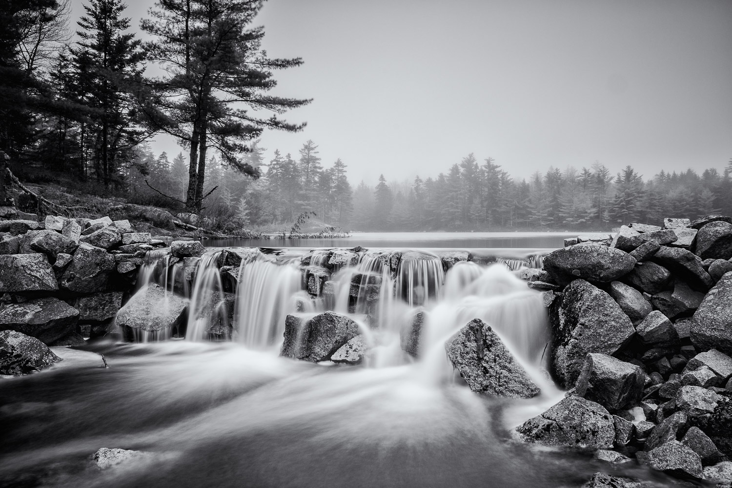 _DSC8185-Edit.jpg
