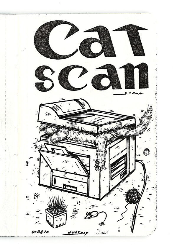 Cat Scan.jpg