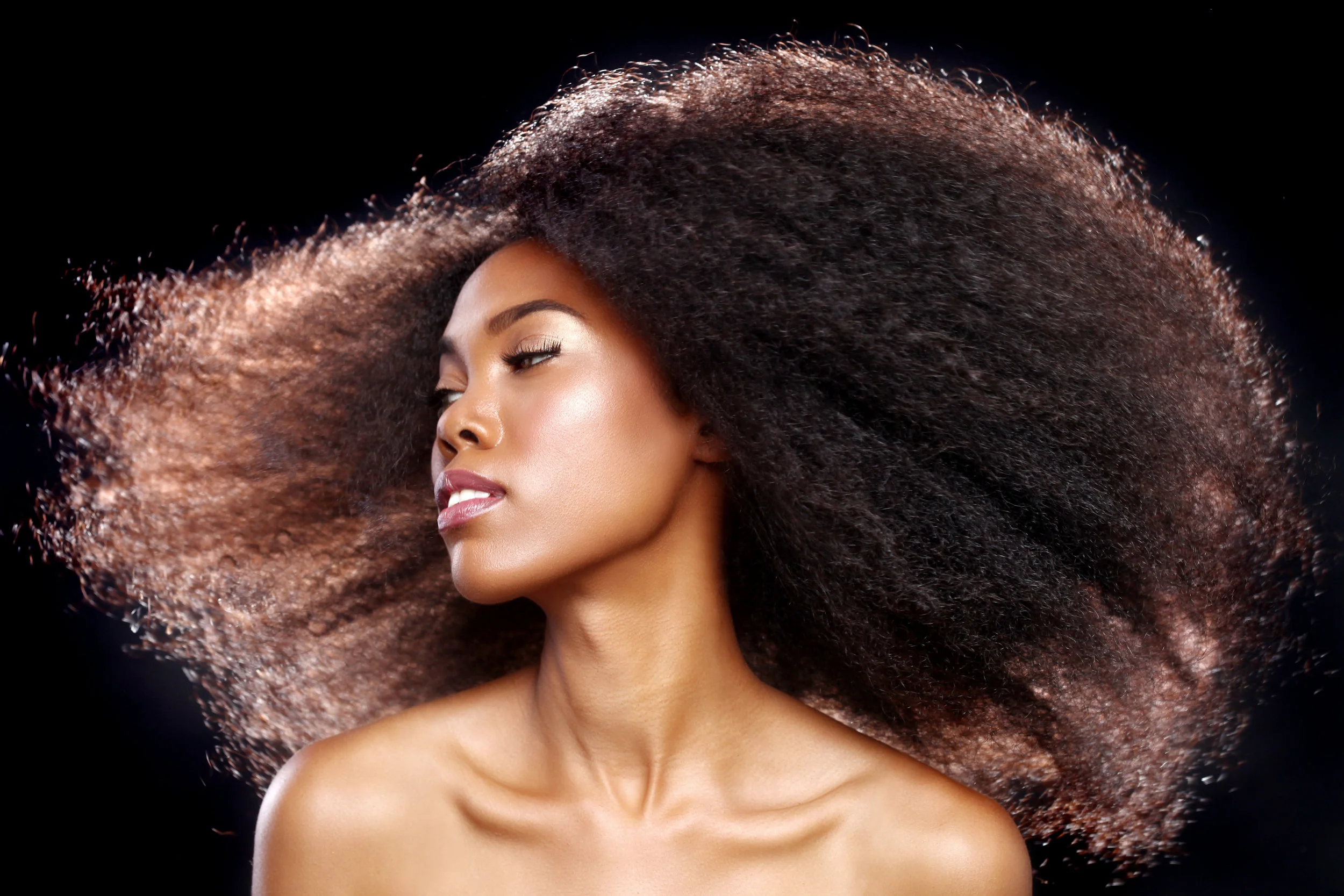 Beautiful Stunning Portrait of an African American Black Woman W