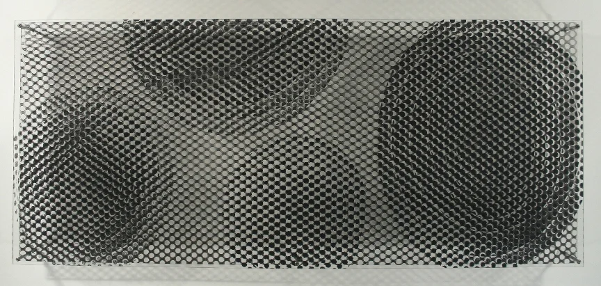 Orna Feinstein, "Circuit Tree #11", 2002,&nbsp;Monoprint on Plexiglass