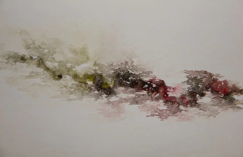 Misha Penton: Transparent Vulnerability