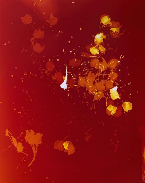 Tahila Corwin Mintz; Time Non Linear: 2; 2009