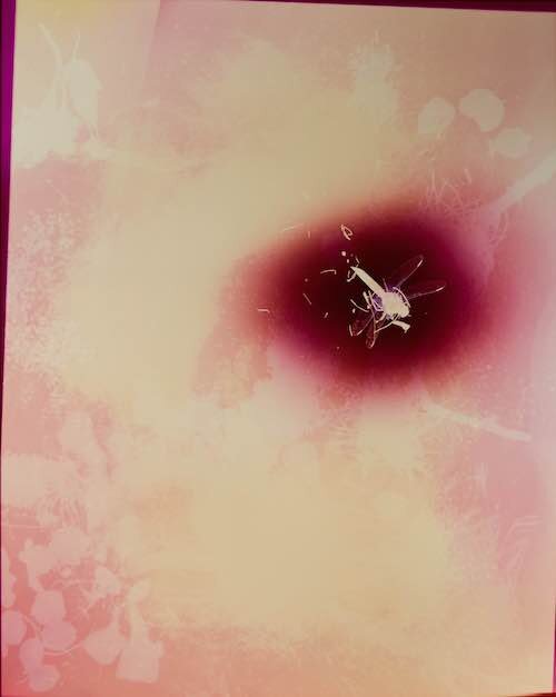 Tahila Corwin Mintz; Time Non Linear: 119; 2009