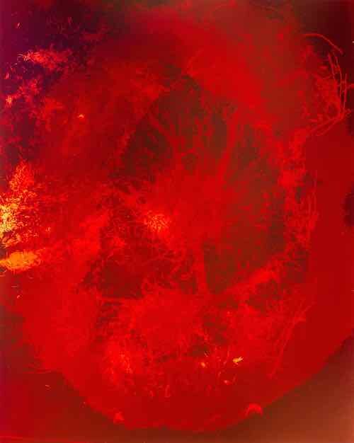 Tahila Corwin Mintz; Time Non Linear: 581; 2009