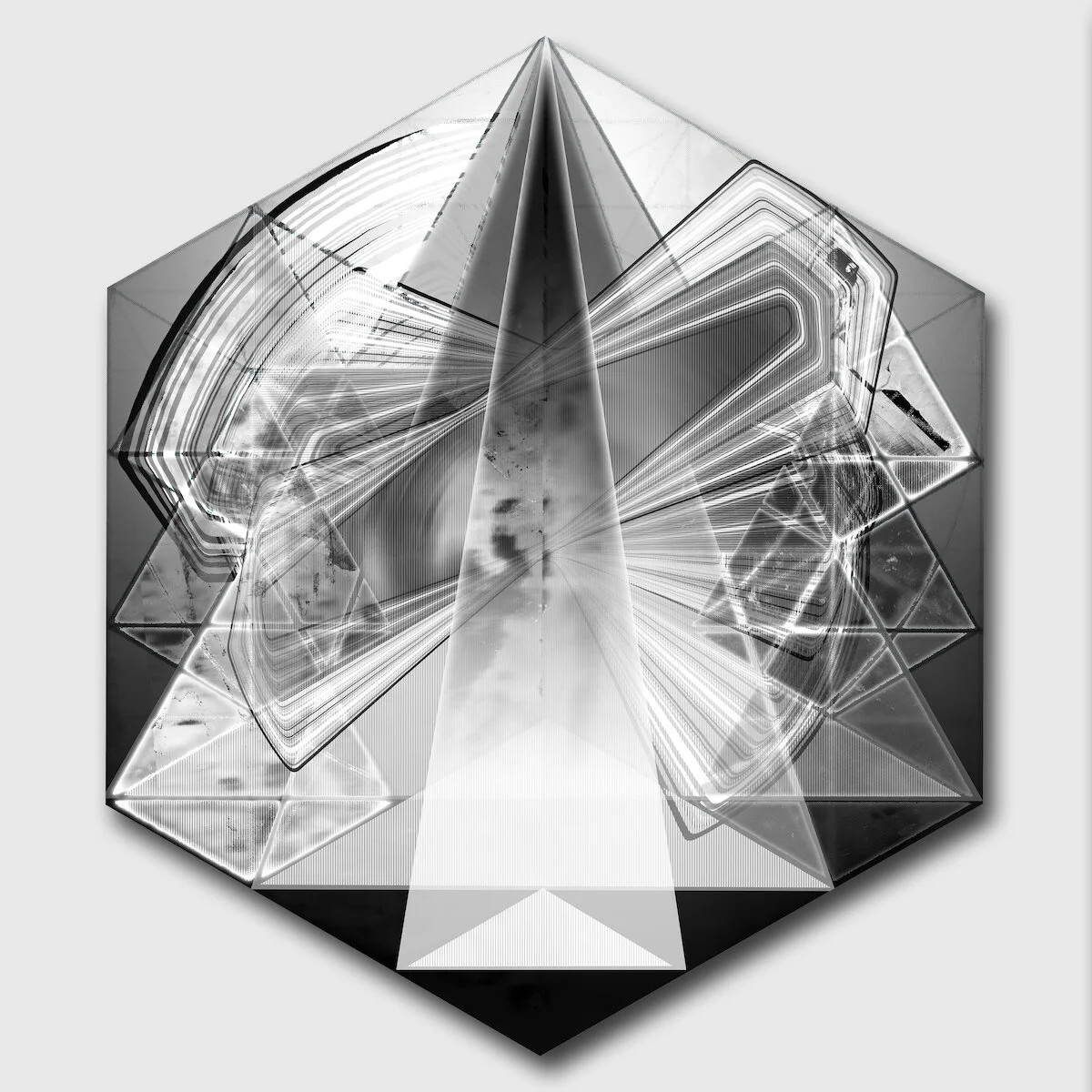 copyrighted-Shulman Z_Rosette_Justice_2017