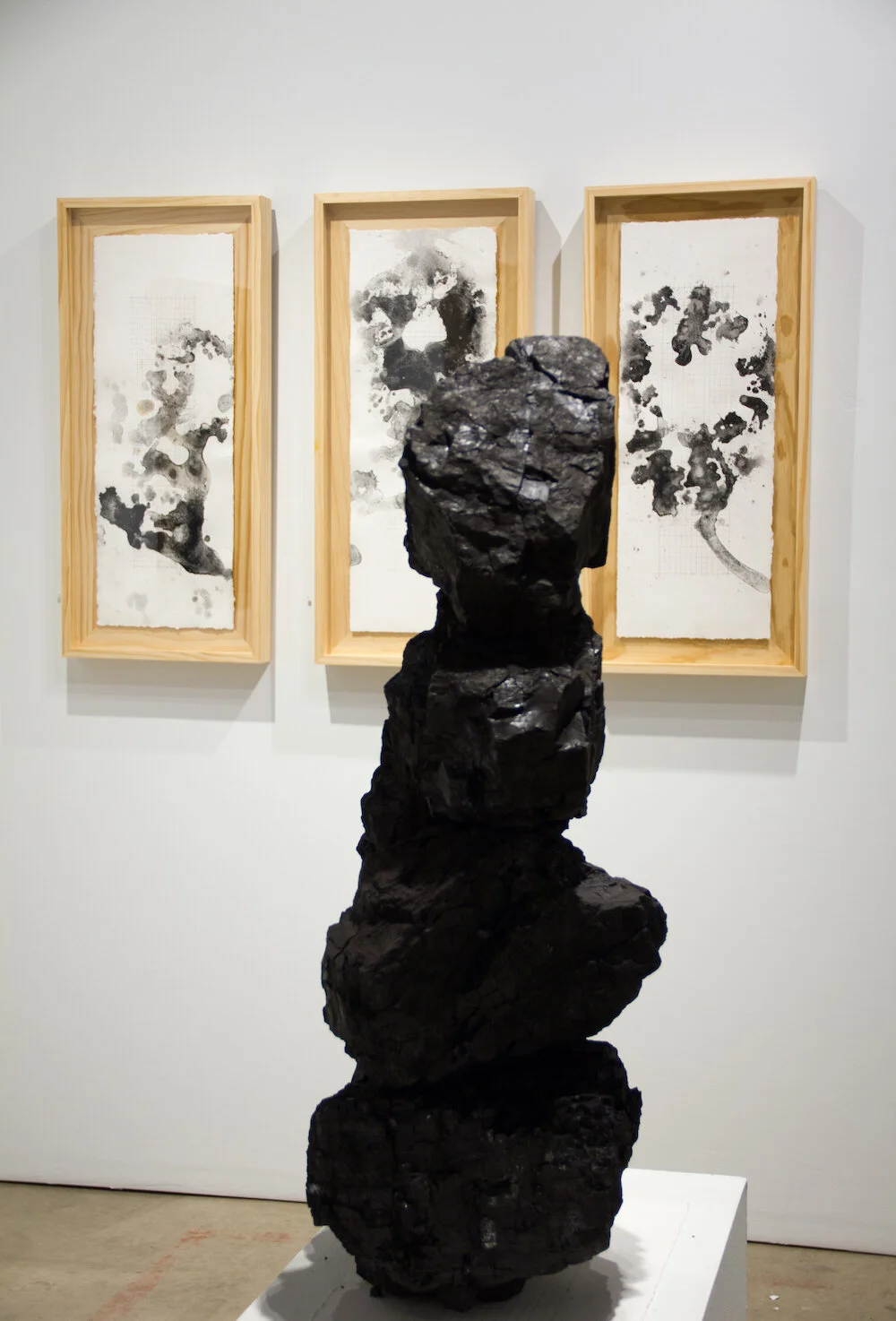 Photo by David D. Bailie of William T. Carson’s 2017 exhibit Unearth