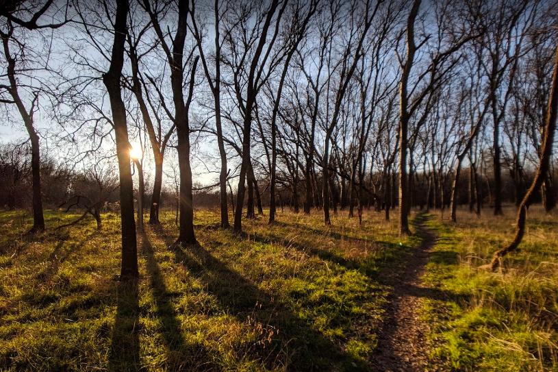 This photo of Onion Creek Metropolitan Park in Austin Texas was culled from the internet.