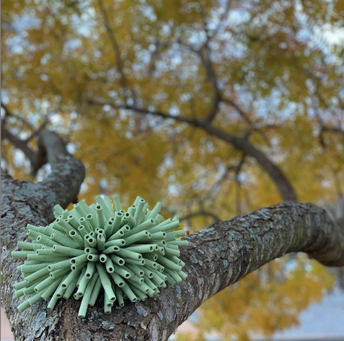 Installation on tree web.png