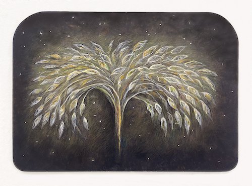 Web_Seeding_the Stars.jpg