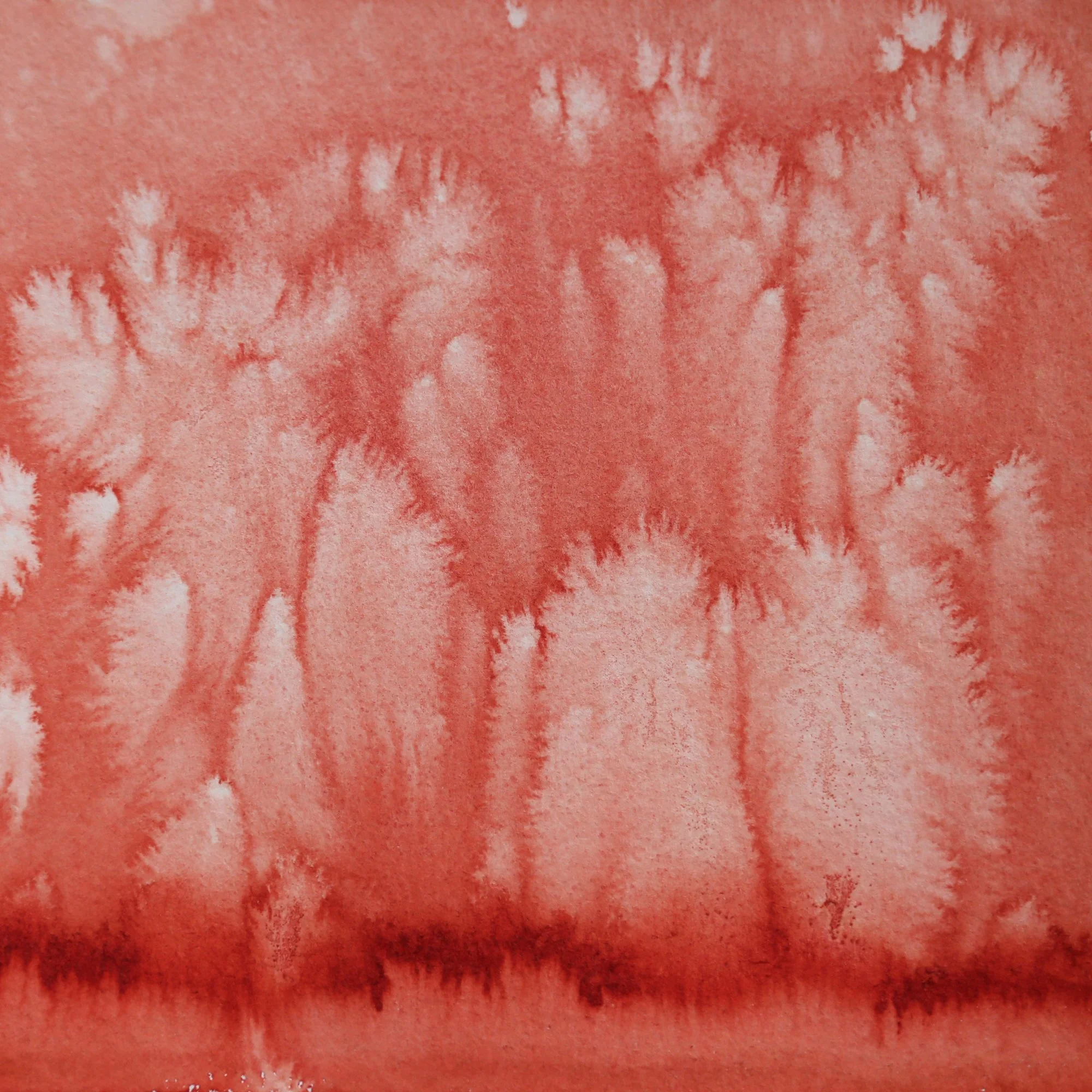 Penton M_Starscape_2015_6x6.JPG