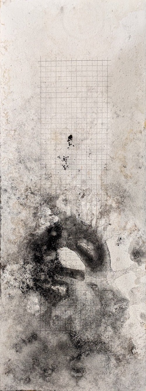 William T. Carson ~ Lee (Erosion Drawing) ~ 2017