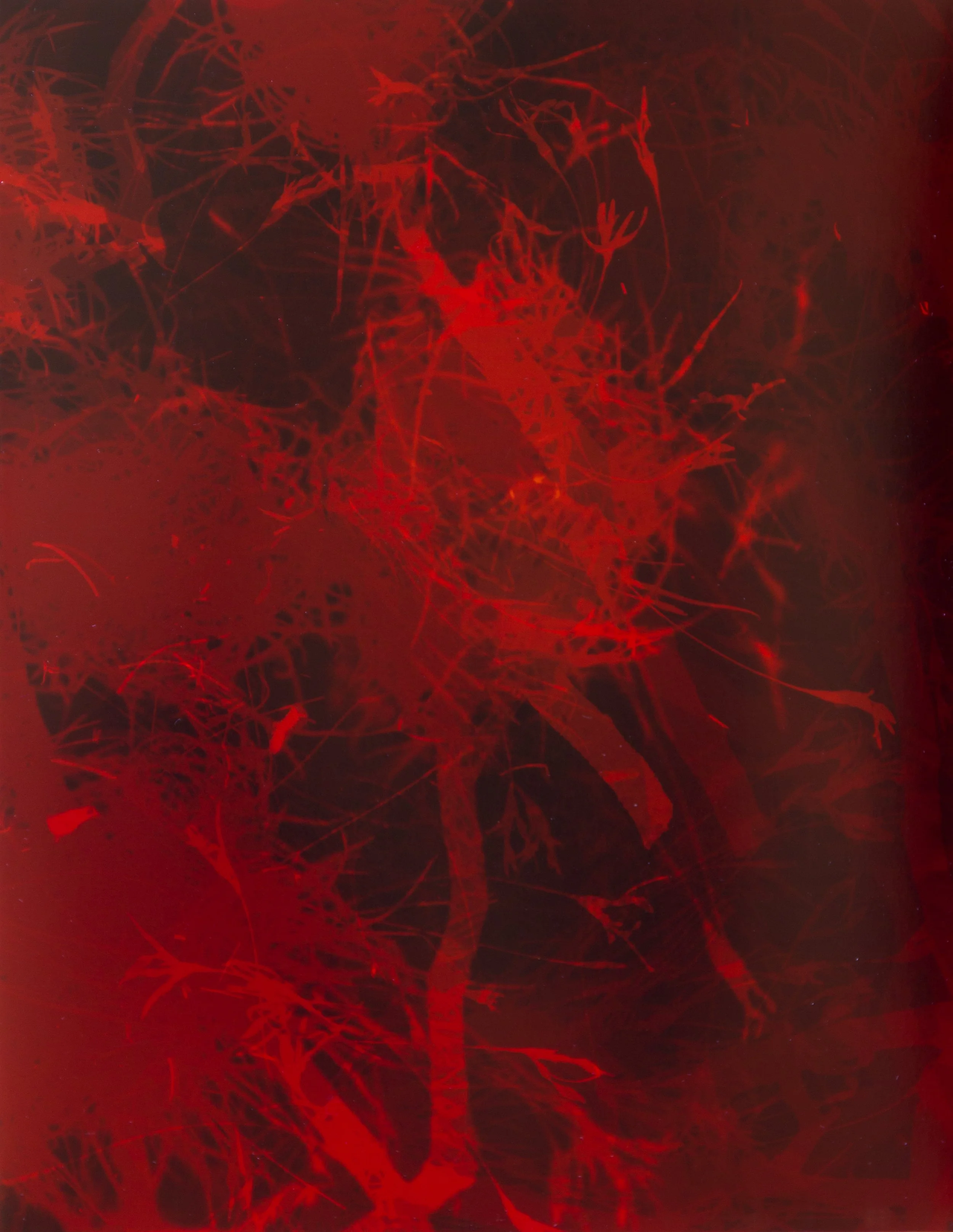 Mintz T_Time Non Linear Sound 3_2009_11x8-5.jpg