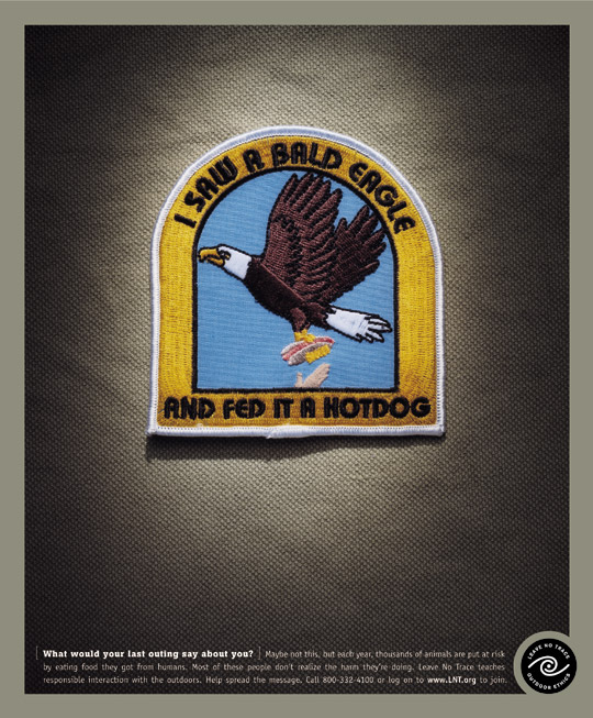 ad_print_3-BaldEagle.jpg