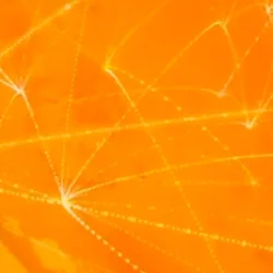 AT&Tnetwork1.jpg