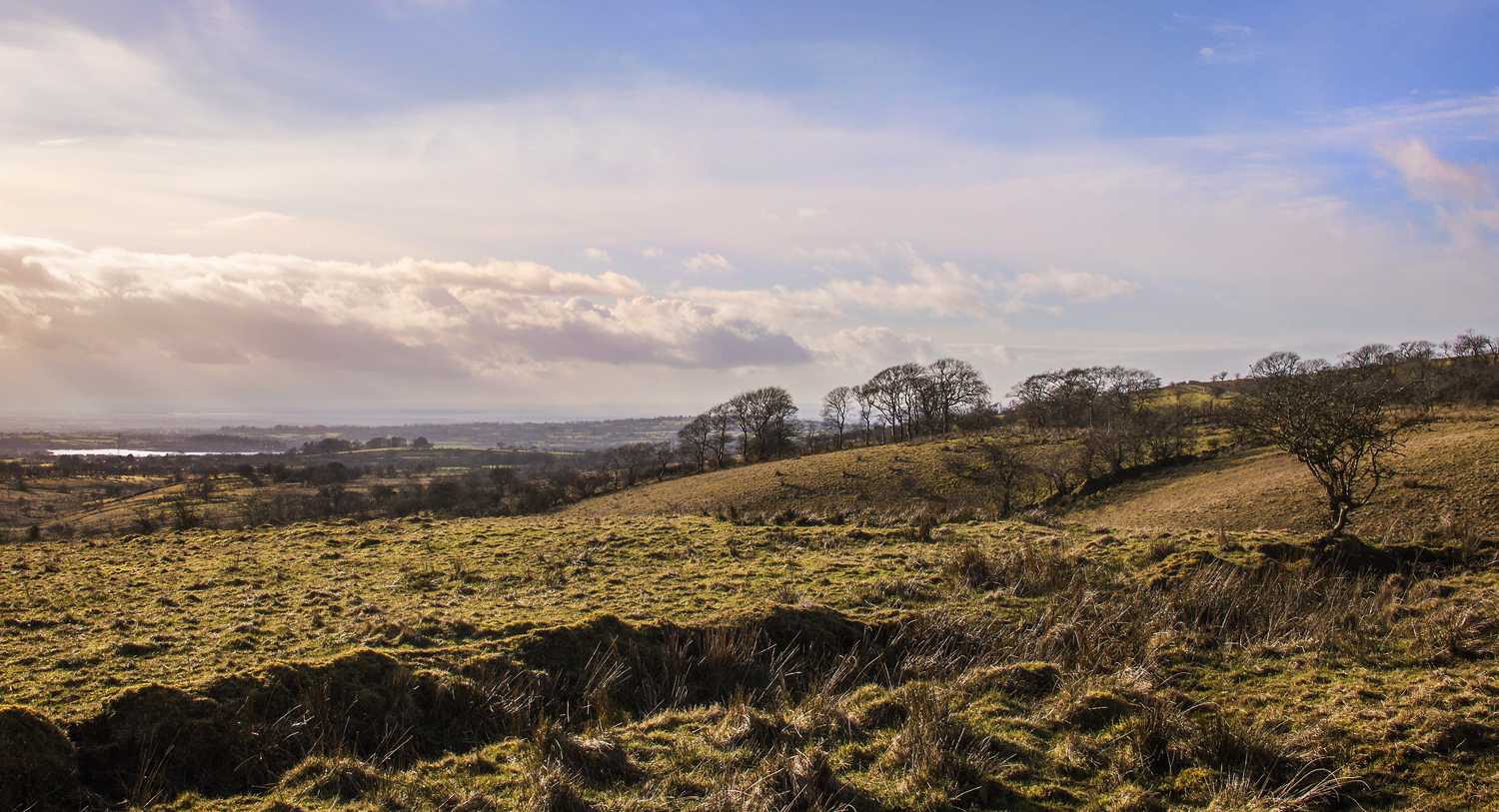 View over the eastern slopes.
