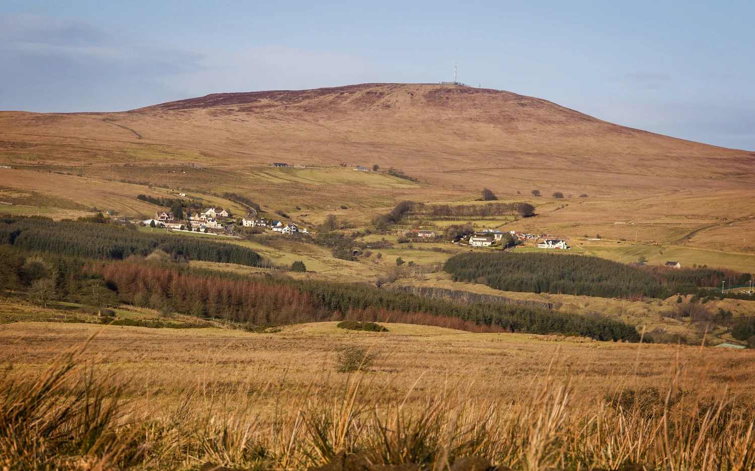 Hannahstown~Divis Mountain