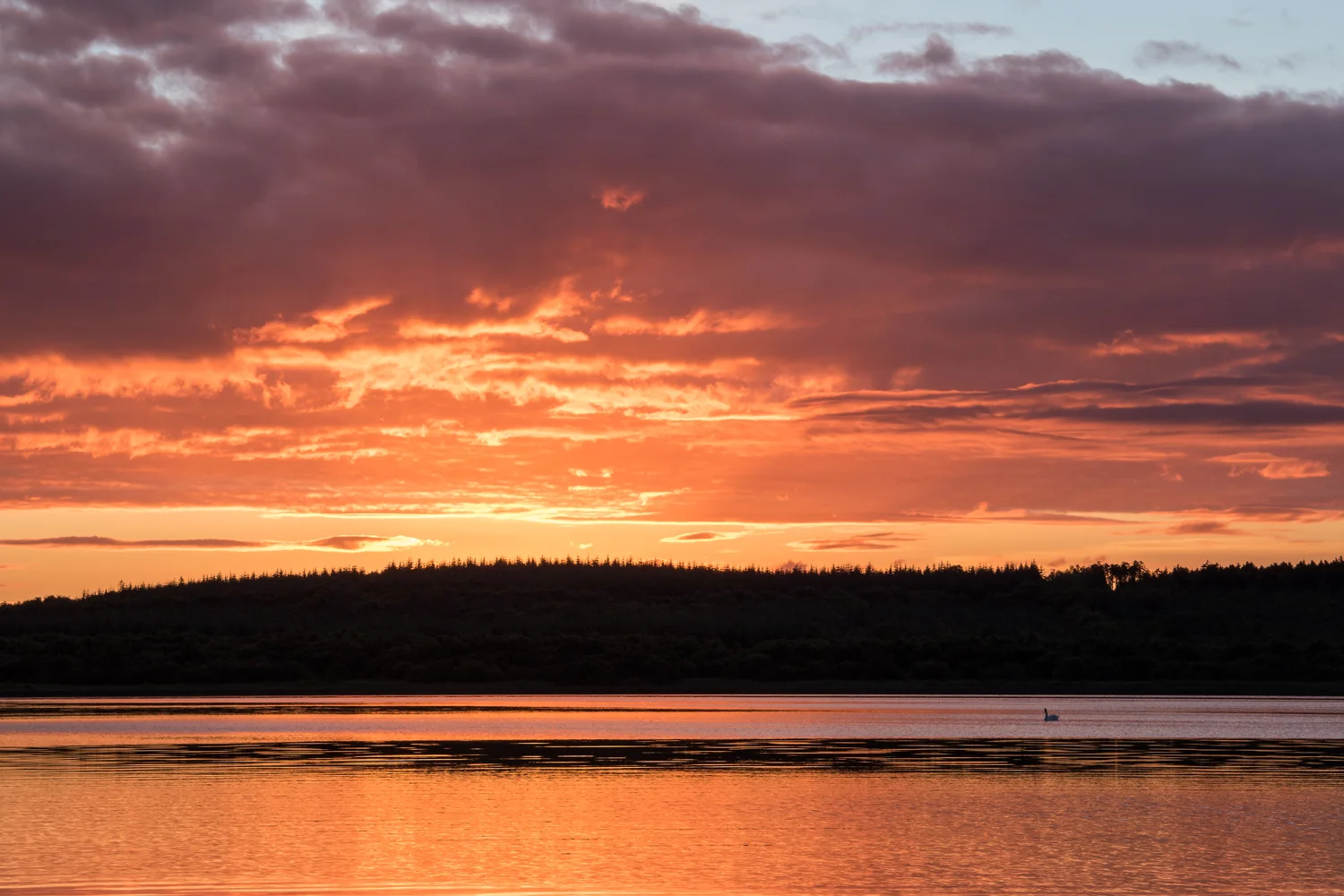 Sunset over Lough Erne and Kesh Forest