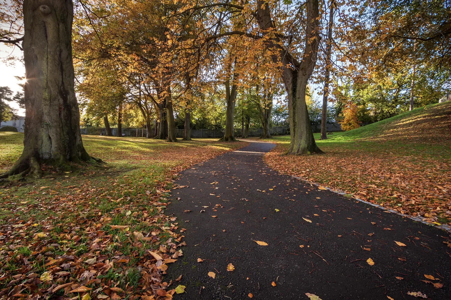 Wallace Park in Autumn