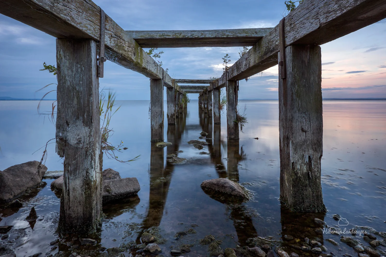 The Lough's Edge