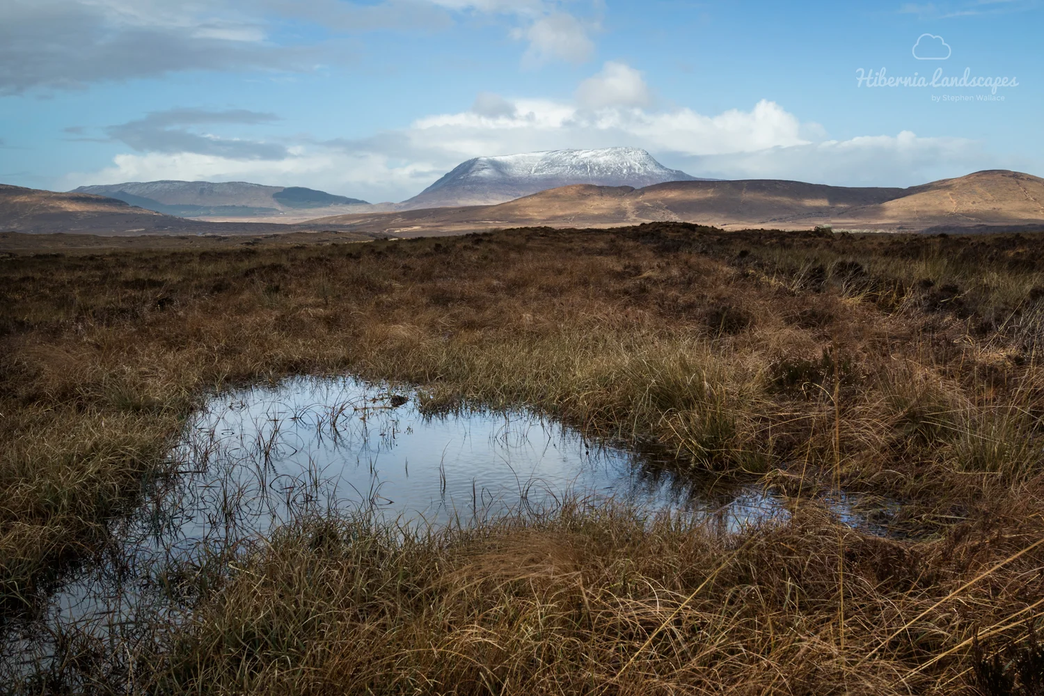 Muckish