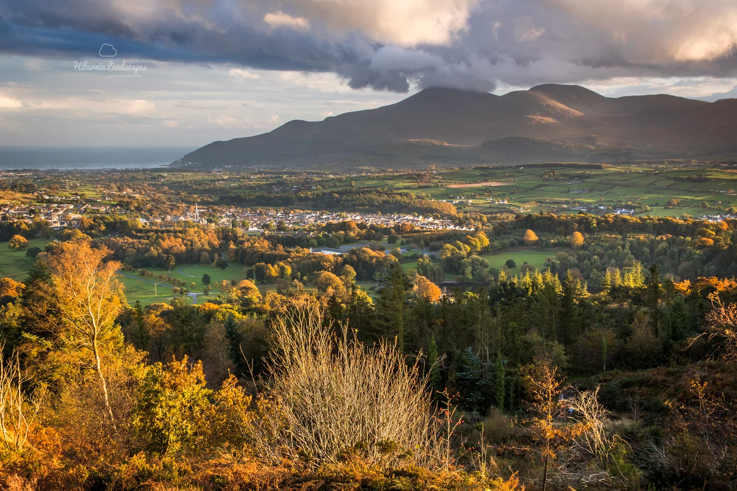 Mourne Autumn