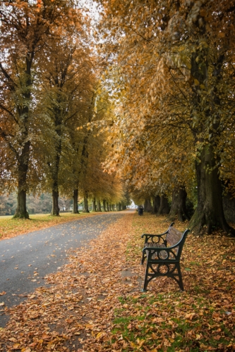 Lurgan Park