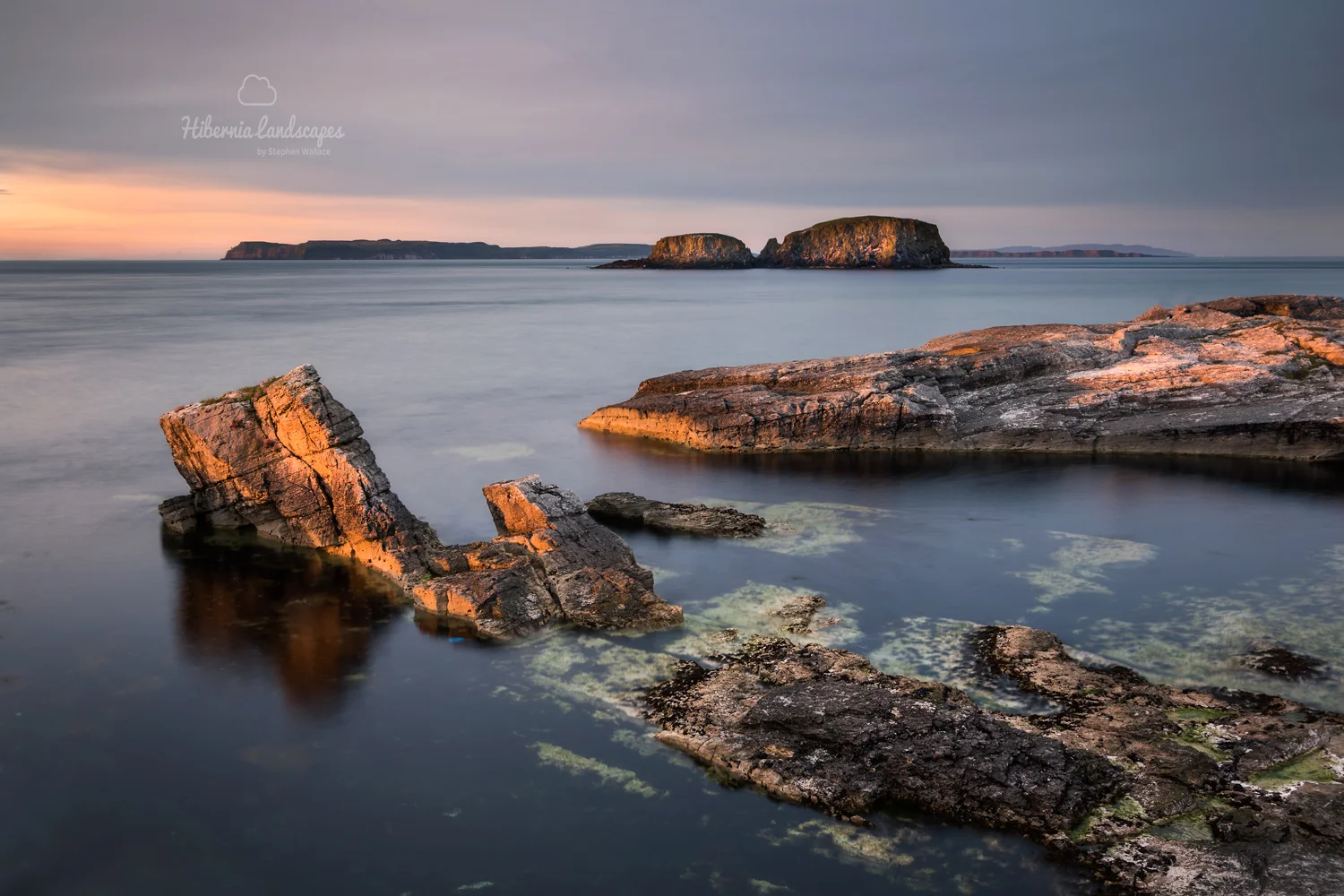 Sheep Island