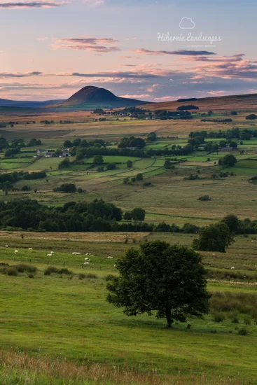 Glenwhirry