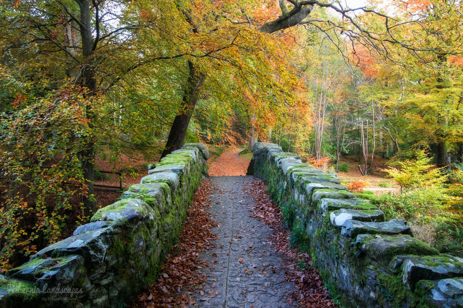 Enter Autumn
