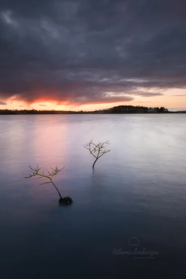 Moody Stoneyford