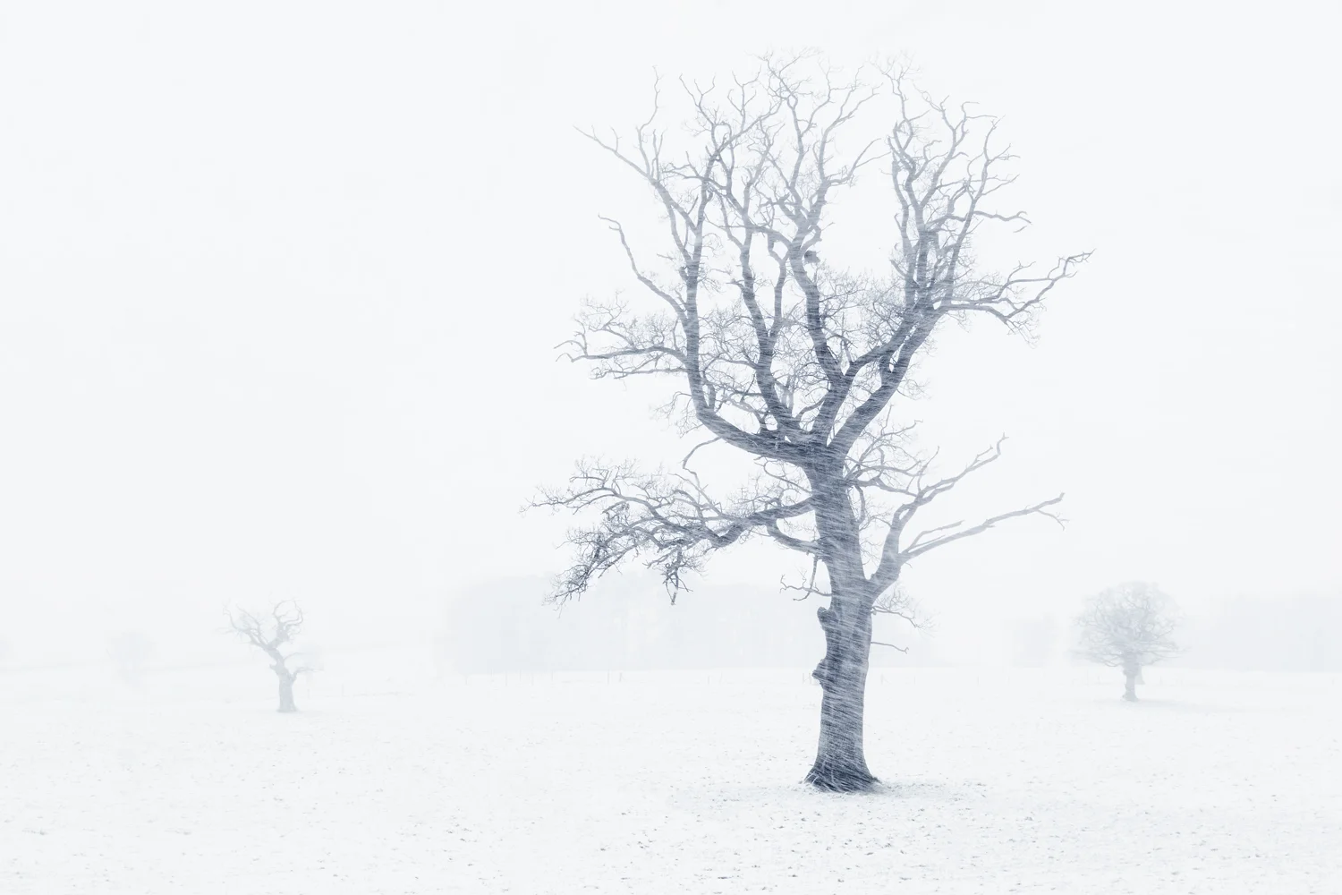 Ballymacash Blizzard