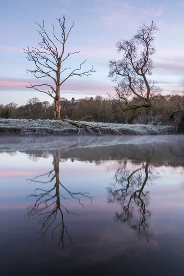 Lagan Reflections