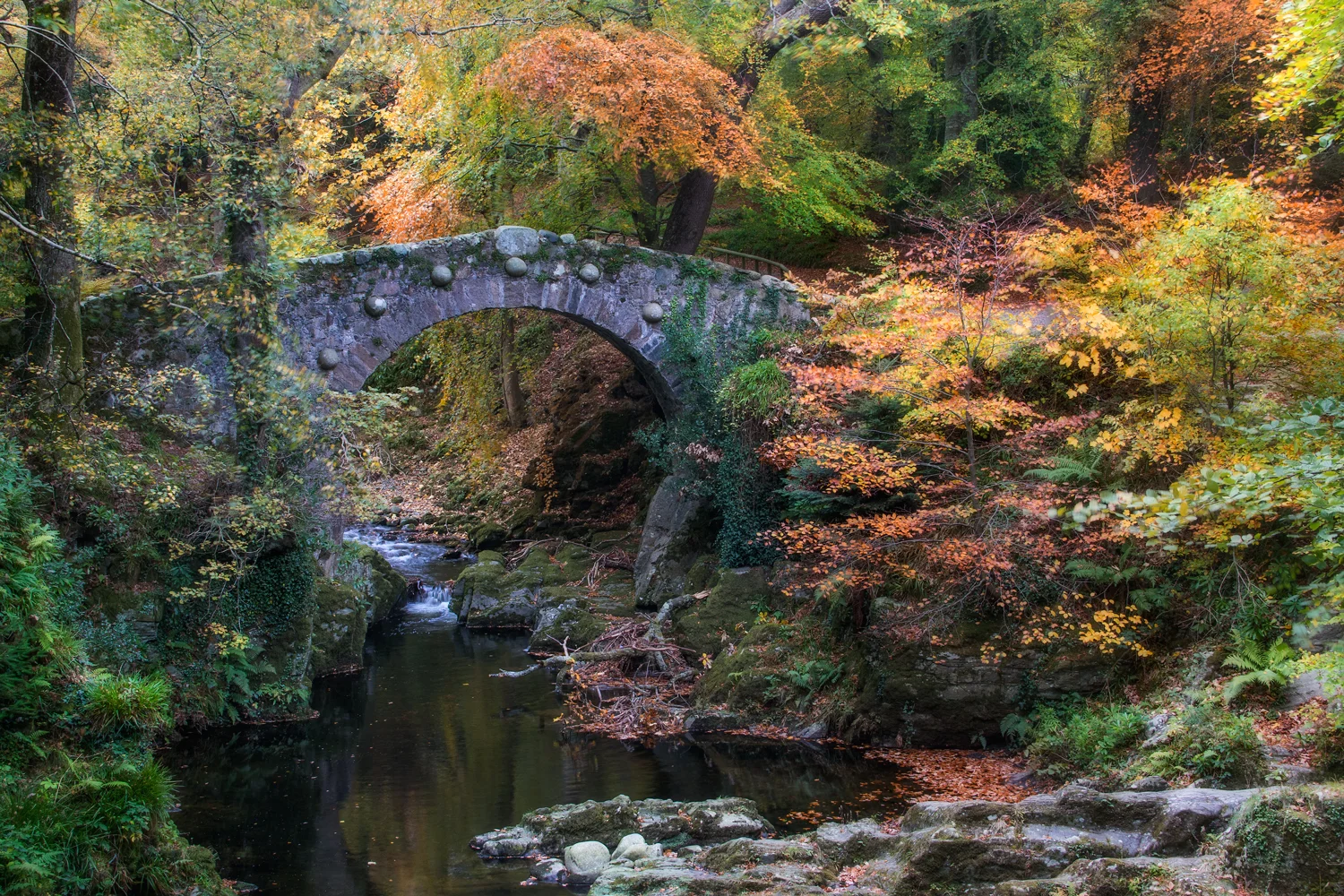 Tollymore Fairytale