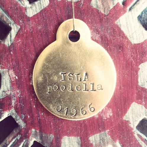 ISLA 'poodella'