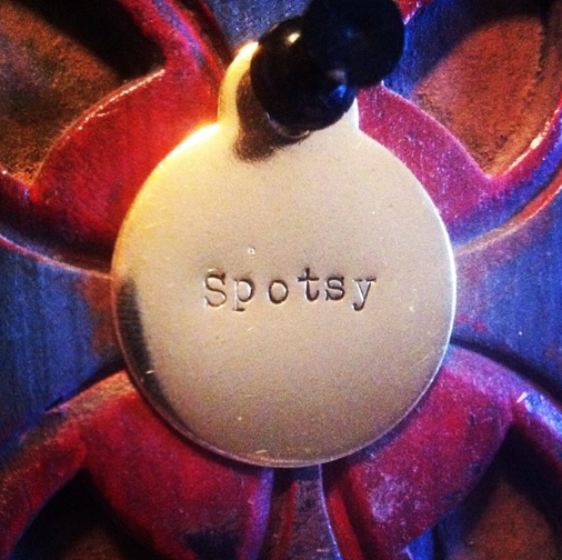 Spotsy.png