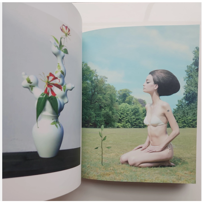 Into the Nature of Creatures and Wilderness Book 13.png