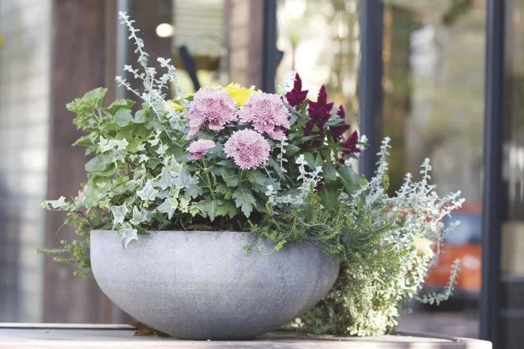 Exterior Plant Styling Service in Boston