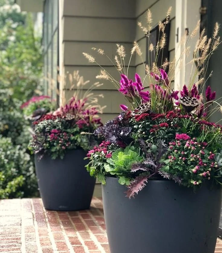 Exterior Plant Styling Service in Boston