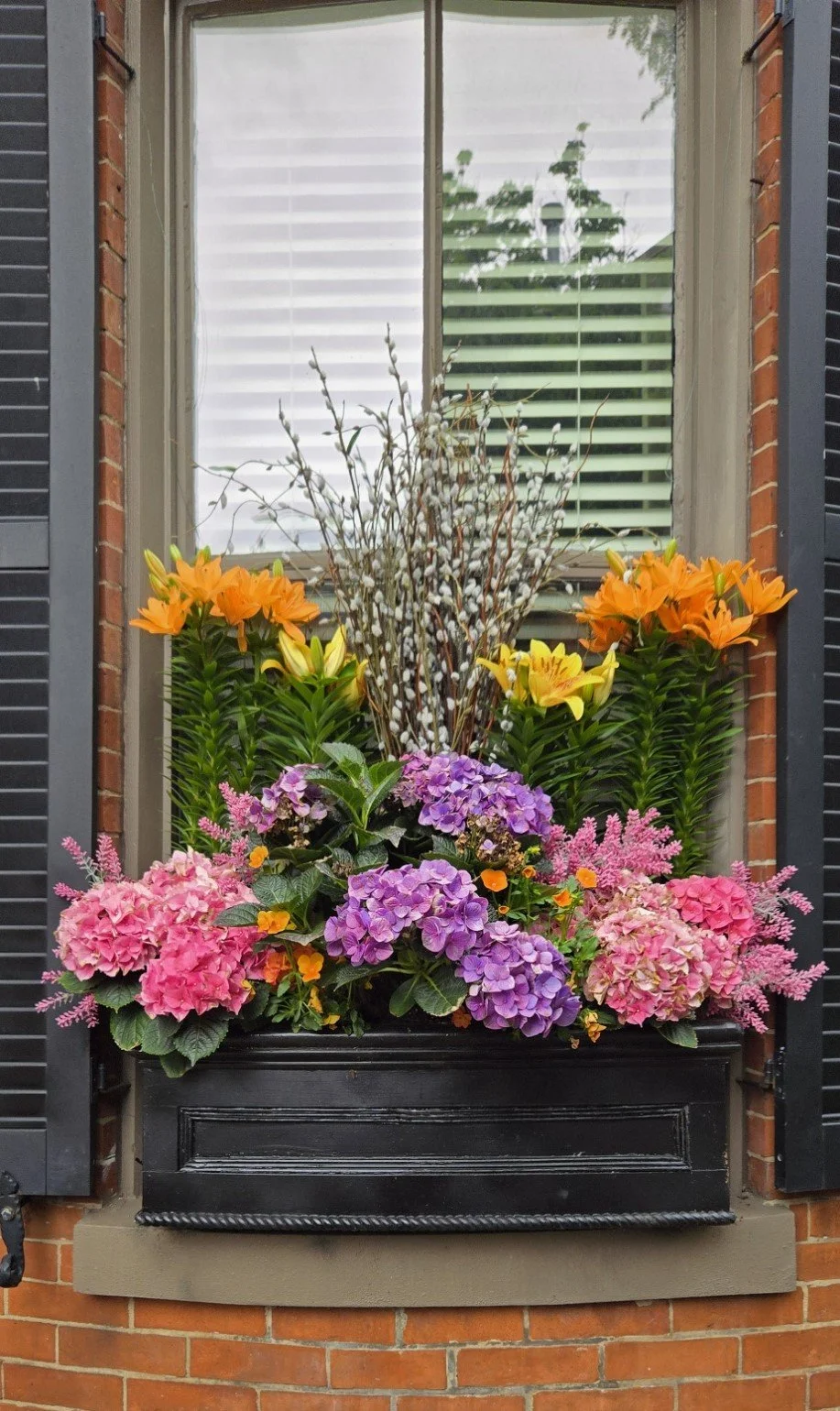 Exterior Plant Styling Service in Boston