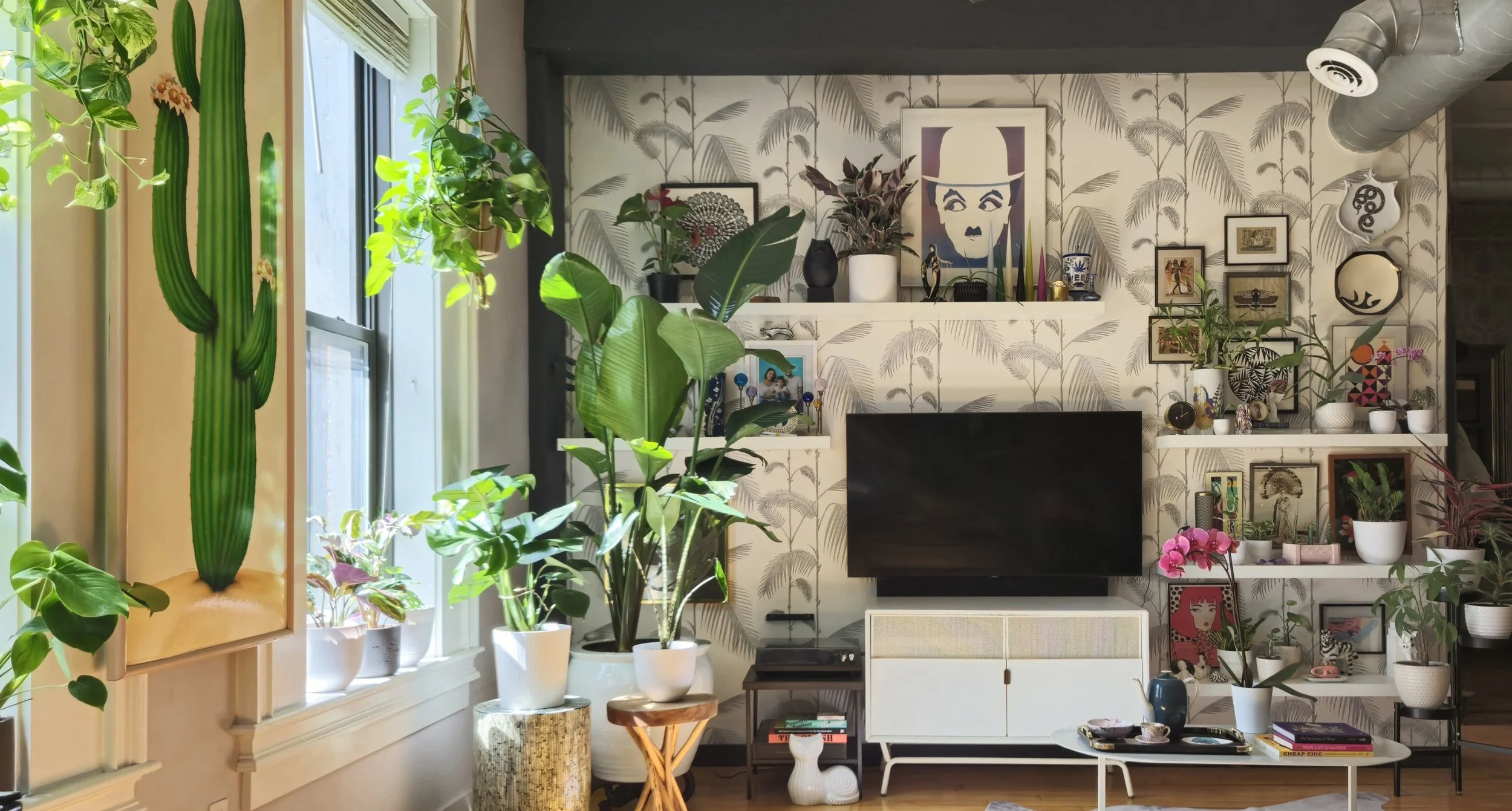 Interior Designer in Boston, Ma. Interior Plant Styling