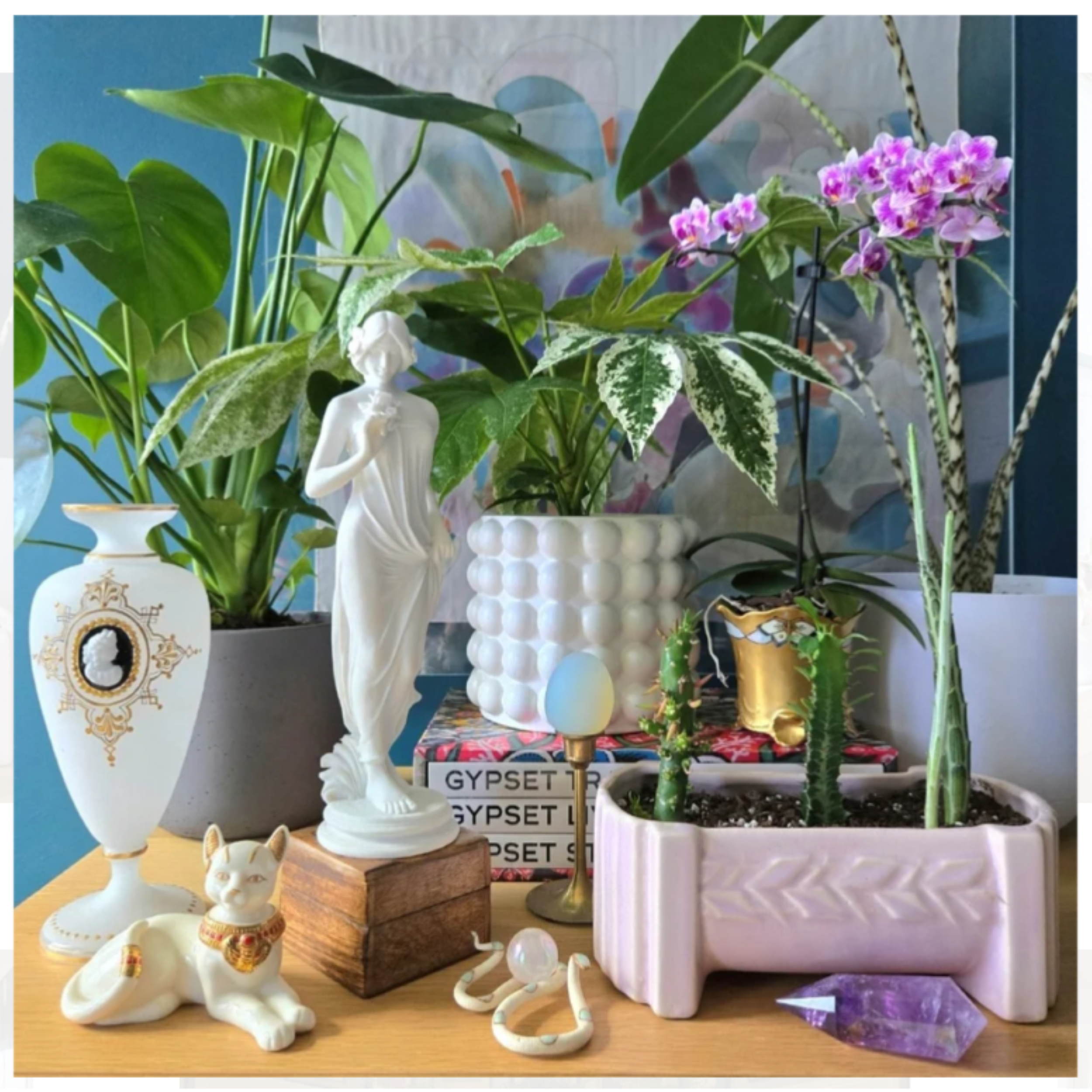 Plant Styling by color theory Boston, Houseplants, Interior Design