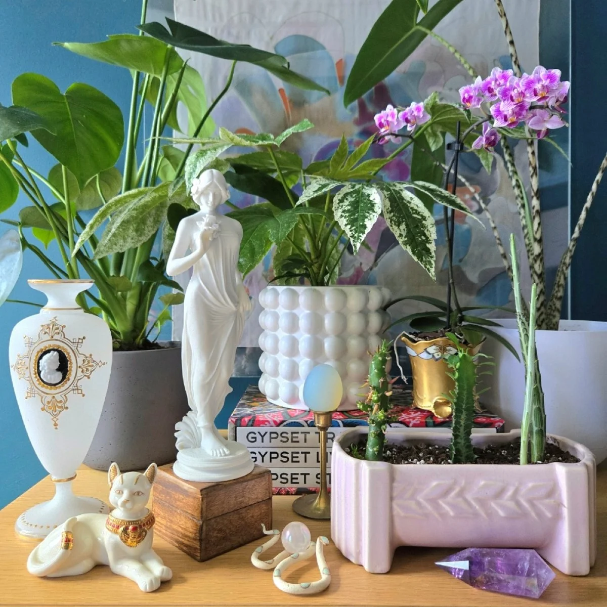 Interior Designer in Boston, Ma. Interior Plant Styling