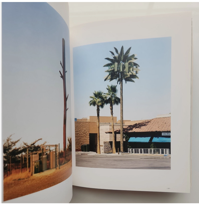 Into the Nature of Creatures and Wilderness Book 14.png