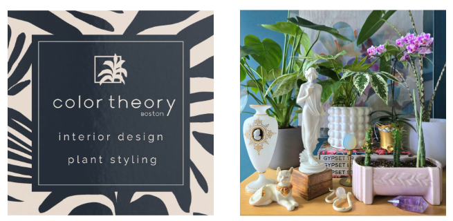 Interior Designer and Plant Styling in Boston, Ma