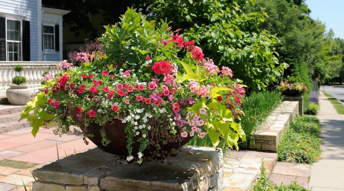 Exterior Plant Styling Service in Boston