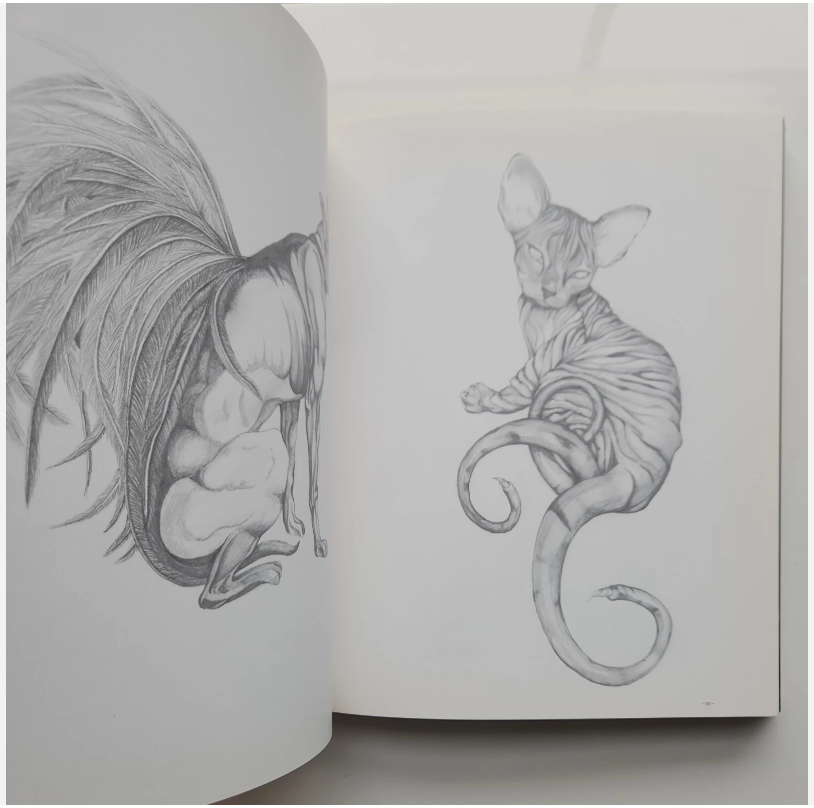 Into the Nature of Creatures and Wilderness Book 12.png