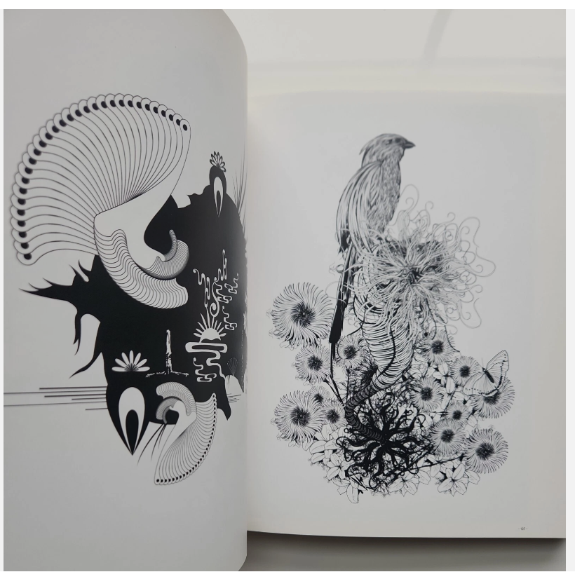 Into the Nature of Creatures and Wilderness Book 11.png