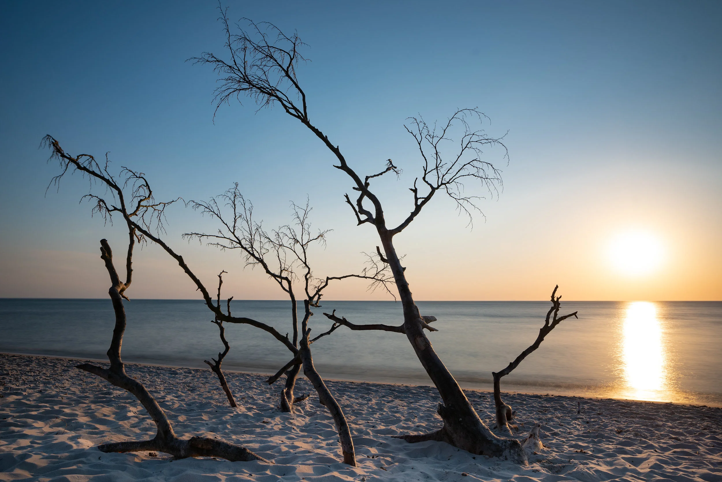 012 - Zingst_Weststrand - DSC_1804.jpg